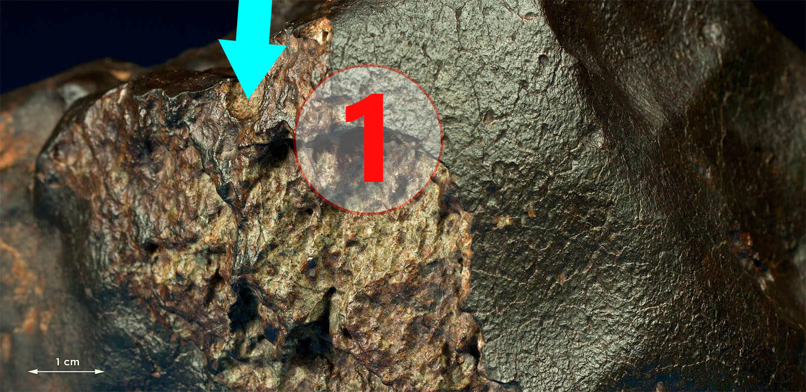 Texture comparative N°14-2-1 meteorite-mars.com