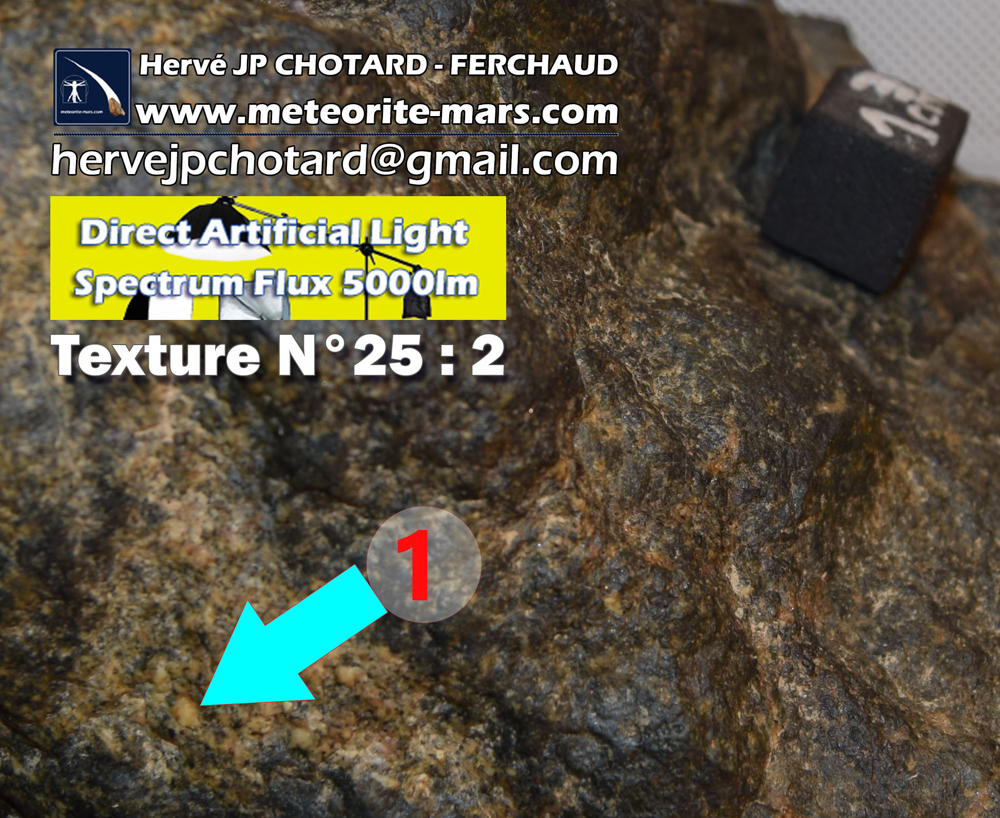 Texture N 25-02 – meteorite-mars.com